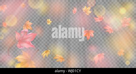 Flying Autumn Leaves Stock Vector
