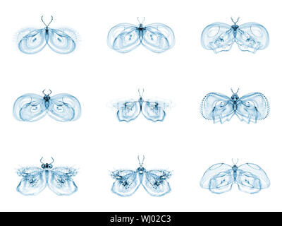 Fractal Butterflies series. Interplay of isolated fractal butterflies on the subject of science, creativity and design Stock Photo