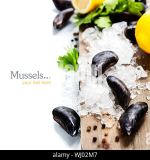 Fresh  mussels on ice ready for cooking  (with easy removable sample text) Stock Photo