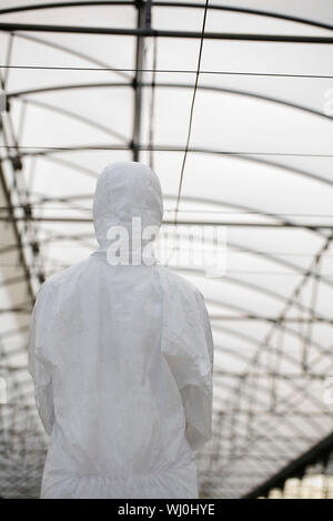 Rear view of female worker in protective suit standing at greenhouse Stock Photo
