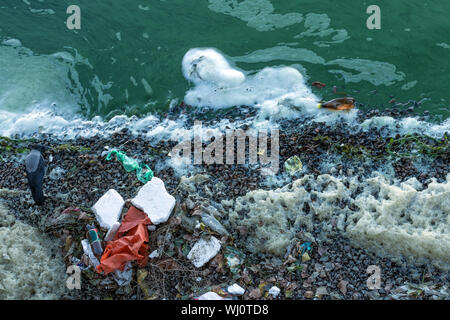 Plastic pollution of the river. Green water of the river. Ecological catastrophe. Stock Photo