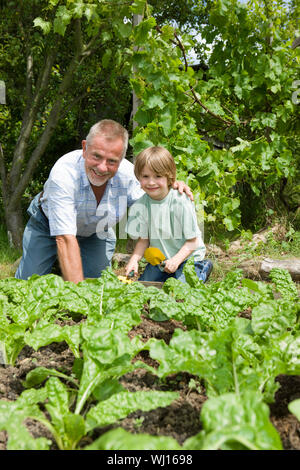 Portrait of happy young boy with grandfather gardening in community garden Stock Photo