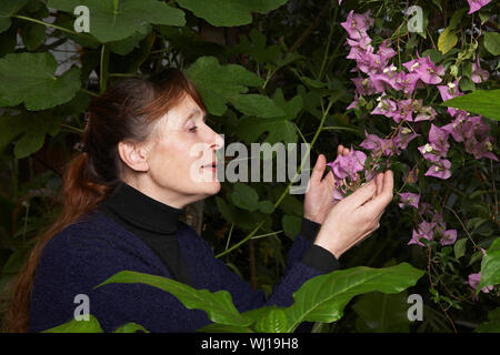 Middle aged woman analyzing flowers in greenhouse Stock Photo
