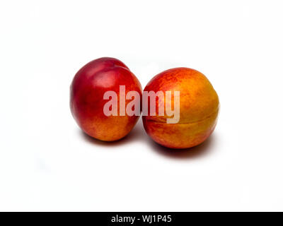 Two red and yellow colored ripe nectarines isolated on white background. Stock Photo