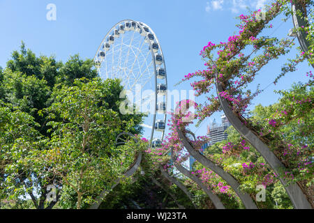 Riverfront Metropolis, Subtropical Urban Oasis, Brisbane, Australia Stock Photo