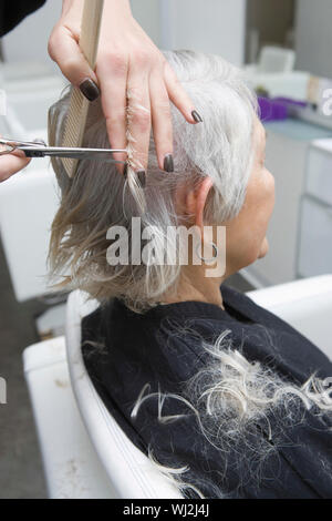 Hair stylist cutting senior woman's hair in salon Stock Photo