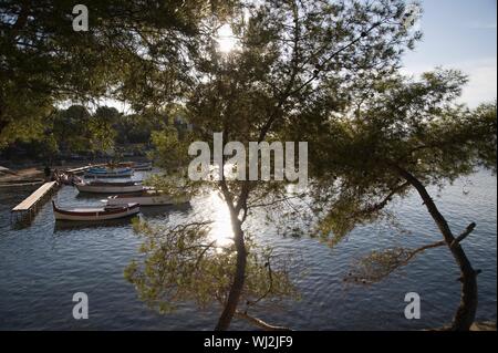 A lake surrounded with trees and a few boats by the jetty with two trees in the foreground Stock Photo