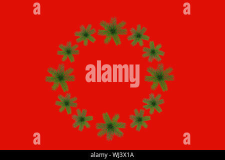 Christmas round frame made of natural green fir tree branches as snowflakes on red background, isolated. Stock Photo