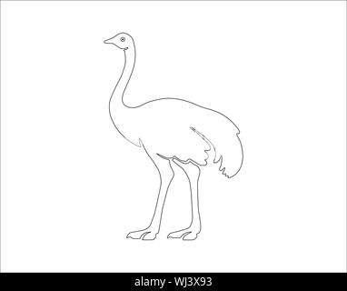 Ostrich icon in outline style isolated on white background. Bird symbol stock vector illustration. - Vector Stock Vector