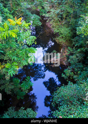 Looking down from a canopy walk at the water reflection among the flora in Gunung National Park, Mulu, Sarawak, Borneo, Malaysia. Stock Photo