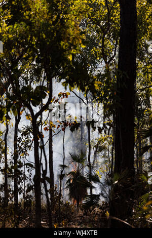 Preventative patch burning fire in tropical forest, Kakadu National Park, Australia Stock Photo