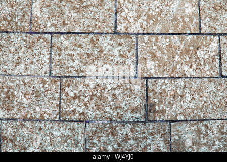 Natural gray stone and red granite background. Cladding material granite texture. Granite sidewalk tile. Copying space. Stock Photo