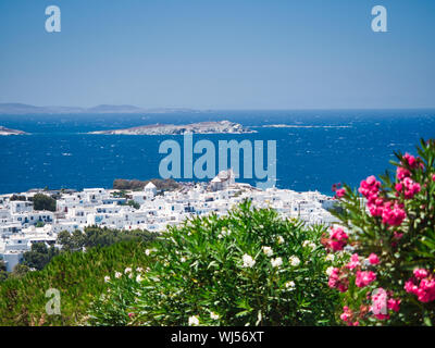 Green bushes with delicate flowers growing against coastal town and calm sea on Mykonos Island in Greece Stock Photo