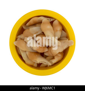 Top view of a yellow bowl filled with razor clams isolated on a white background. Stock Photo