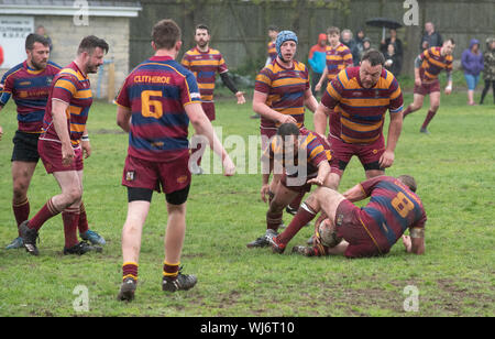 People participating in playing rugby, Clitheroe, Lancashire. Stock Photo