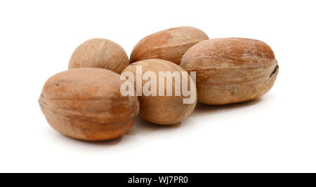 Heap of pecan nuts in shell isolated on white Stock Photo