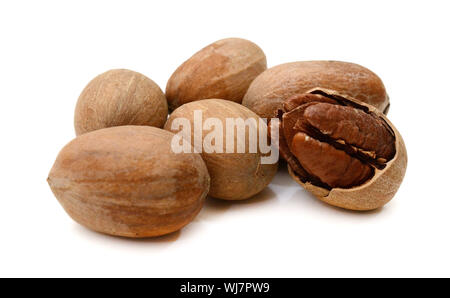 Pecan nuts isolated on a white background. Stock Photo