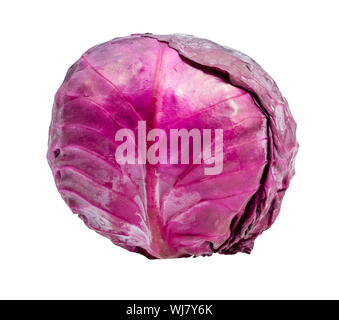 ripe red cabbage cutout on white background Stock Photo