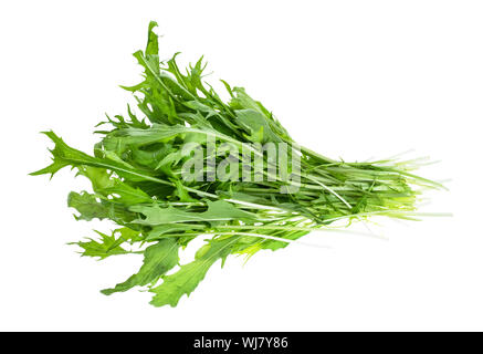 bundle of mizuna (Japanese leaf cabbage) herb cutout on white background Stock Photo