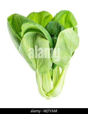 bok choy (pok choi, pak choi) Chinese leaf cabbage cutout on white background Stock Photo