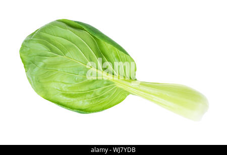leaf of bok choy (pok choi, pak choi) Chinese leaf cabbage cutout on white background Stock Photo