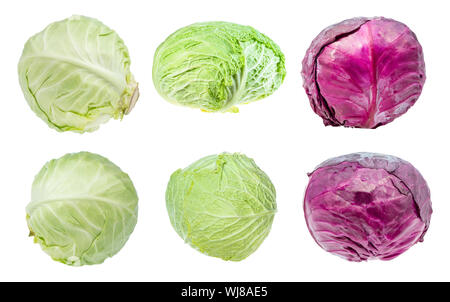 various fresh head cabbages cut out on white background Stock Photo