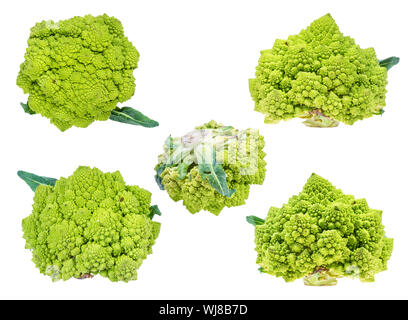 various fresh romanesco broccoli heads cut out on white background Stock Photo