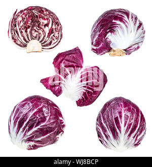various fresh heads and leaf of Radicchio (Italian leaf chicory) plant cut out on white background Stock Photo