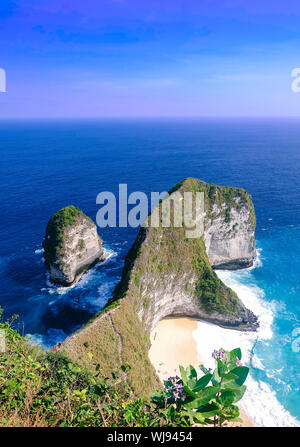 This is the fist time I see T-rex on Kelingking Beach, Nusa Penida, Bali. Royalty high quality stock image of landscape. Stock Photo