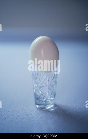 boiled chicken egg peeled in a crystal glass on the table, blue backlight. Stock Photo