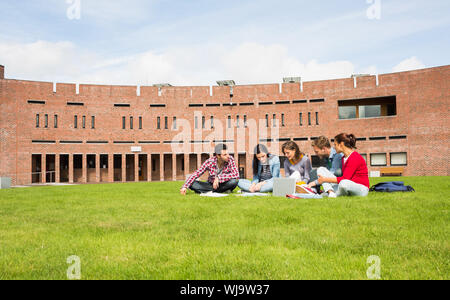 Group of young students using laptop in the lawn against college building Stock Photo