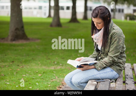 Focused brunette student sitting on bench reading on campus at college Stock Photo