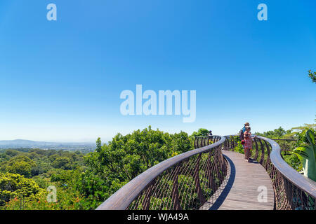 The 'Boomslang' Centenary Tree Canopy Walkway, Kirstenbosch National Botanical Garden, Cape Town, Western Cape, South Africa Stock Photo