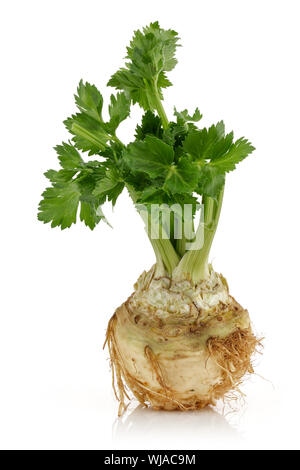 Fresh celeriac root with celery stalks isolated background Stock Photo