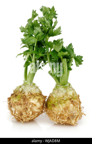 Fresh celeriac root with celery stalks isolated background Stock Photo