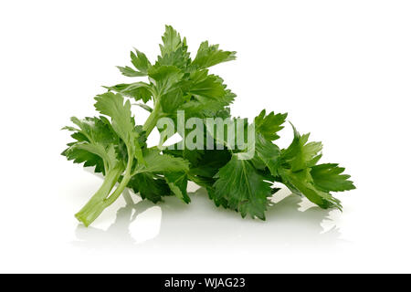 Fresh celery stalks and leaves isolated on white background Stock Photo