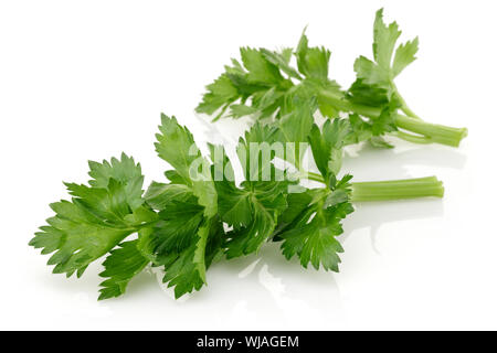 Fresh celery stalks and leaves isolated on white background Stock Photo