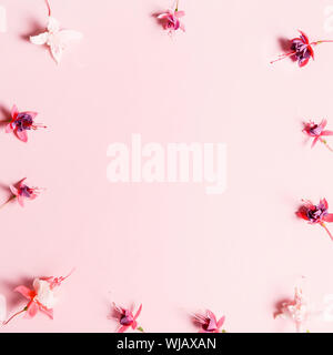 Festive flower fuchsia composition on the pink background. Overhead view Stock Photo