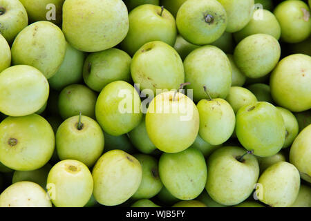 fresh-monkey-apple-fruit-