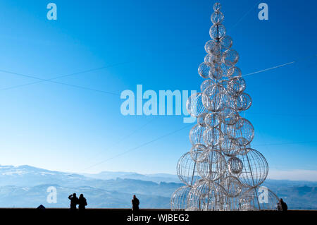 Christmas tree in back light Stock Photo