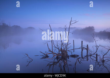 misty sunrise on bog, Drenthe, Netherlands Stock Photo