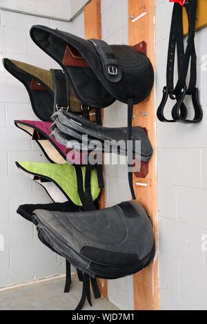 Saddles, bridles, and tack hinging in a tack room. Stock Photo