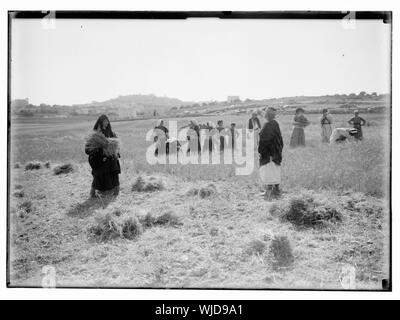 Harvesting and threshing floor scenes in the story of Ruth & Boaz Stock Photo