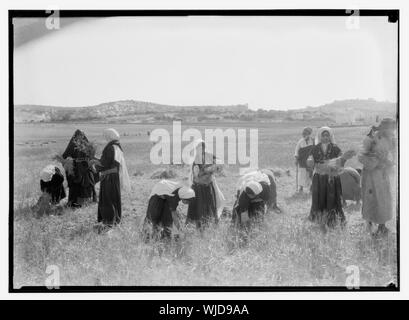 Harvesting and threshing floor scenes in the story of Ruth & Boaz Stock Photo