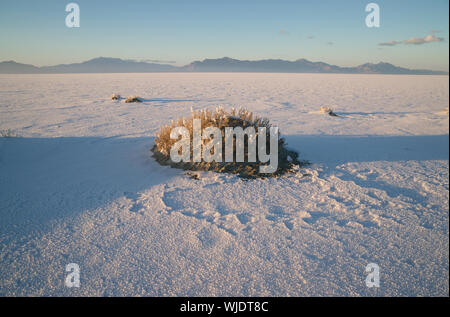The Bonneville Salt Flats is a densely packed salt pan in Tooele County in northwestern Utah. The area is a remnant of the Pleistocene Lake Bonneville Stock Photo