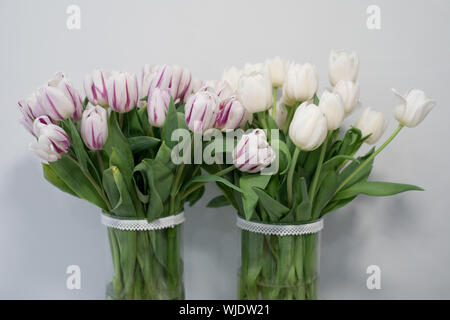 Traditional, polish Easter table with colored eggs, boiled eggs Stock Photo