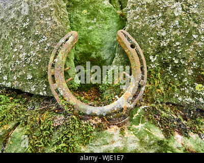 An old rusty horseshoe with nails through it found on a mossy drystone wall covered in lichen Stock Photo