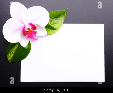 zen or spa stones with blank and empty copyspace paper Stock Photo