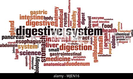 Digestive system word cloud concept. Collage made of words about digestive system. Vector illustration Stock Vector