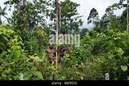 ONNI VILLAGE, NEW GUINEA, INDONESIA - JUNE 24: The group Portrait Korowai people on the natural green forest background.On June 24, 2012 in Onni Villa Stock Photo